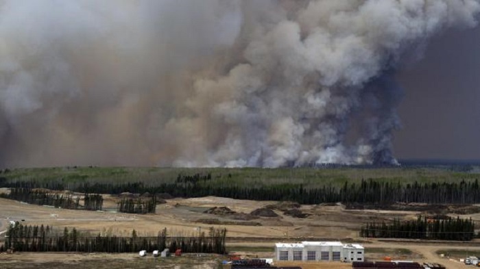 Los refugiados sirios y musulmanes ayudan a sofocar el incendio forestal en Canadá